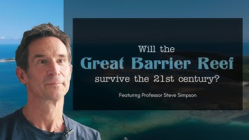 Will the Great Barrier Reef Survive the 21st Century? (feat. Prof. Steve Simpson)