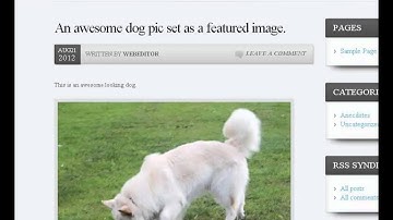 New Feature Preview ICC Pro v1.1