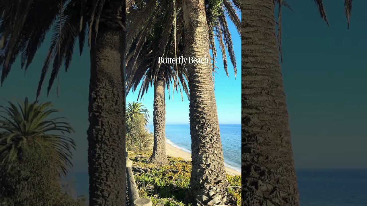 8 Must-See Beaches in Santa Barbara