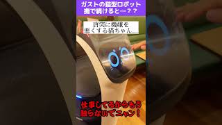 ガストの猫型ロボットを撫で続けると衝撃の結末www #shorts