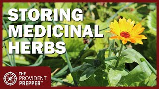 Prepper Pharmacy: Growing and Preserving Medicinal Herbs at Home