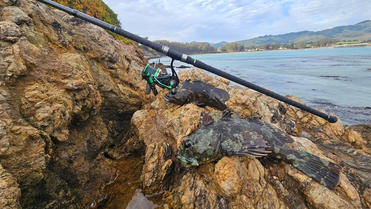 Bait fishing the central coast of California