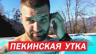 РАЗОБЛАЧЕНИЕ КОСТЯ ПЕКИНЕЦ\КИТАЙ, ТЮРЬМА, ТРАНСФОРМАТОР