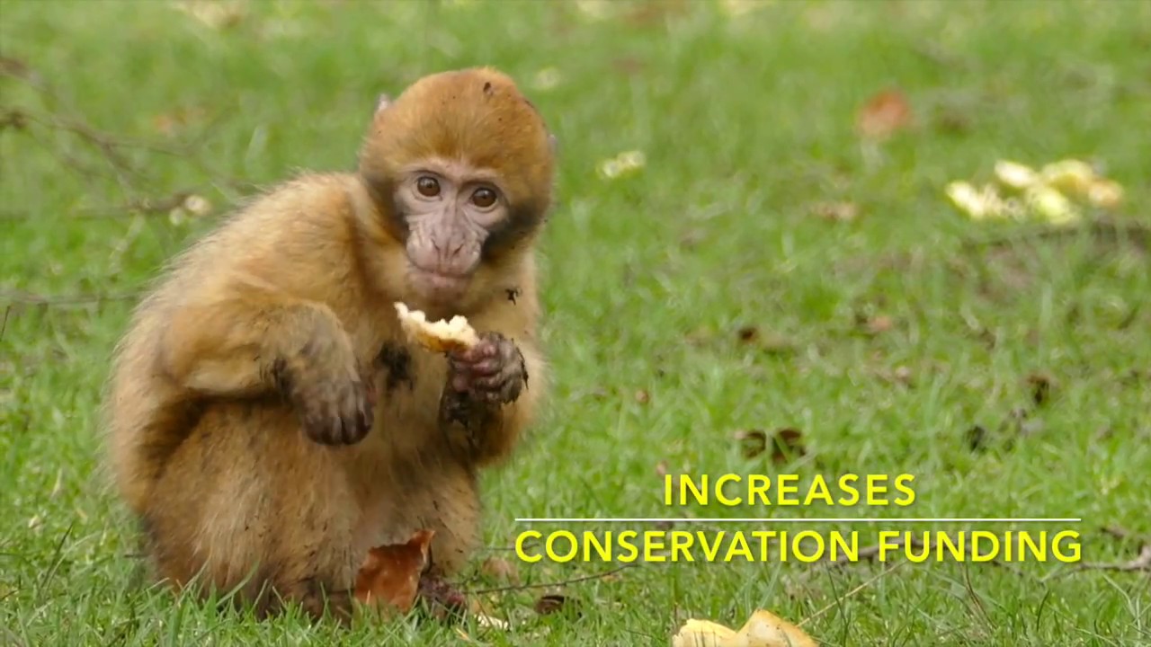 In 60 Seconds: Why You Should Support H.R. 864