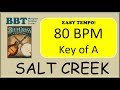 Salt creek bluegrass  backing track 80
