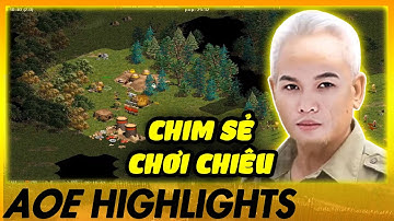 Đôi tay BIẾN ẢO và CỰC KHÉO LÉO của CSDN | AoE Highlights