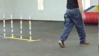 Alden's Kennels Dog Boarding Wheeling IL