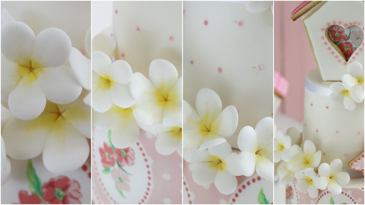 Flores silvestres de Azúcar. 6ª Parte Tarta con Casita.