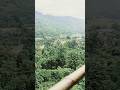 #shorts #jatinga #assam #india #viralreels