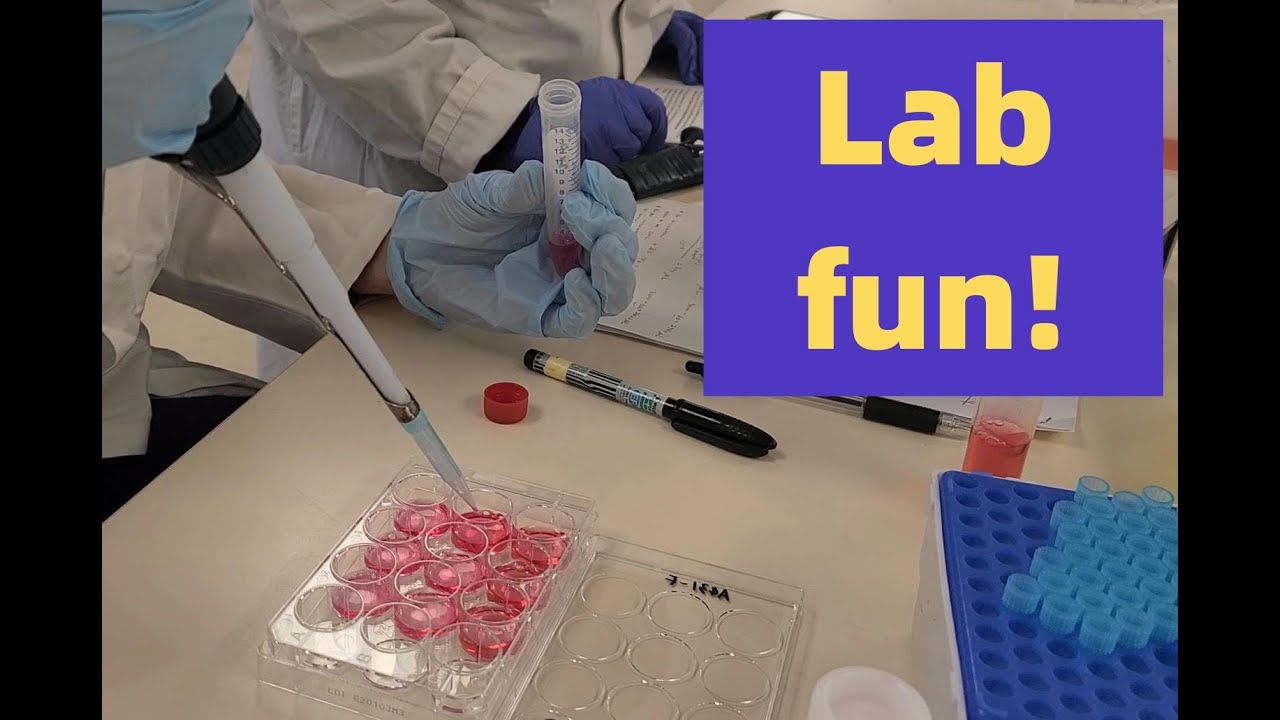 University of Leeds Lab session (Feb 2022)~ Medical Sciences ~ - YouTube
