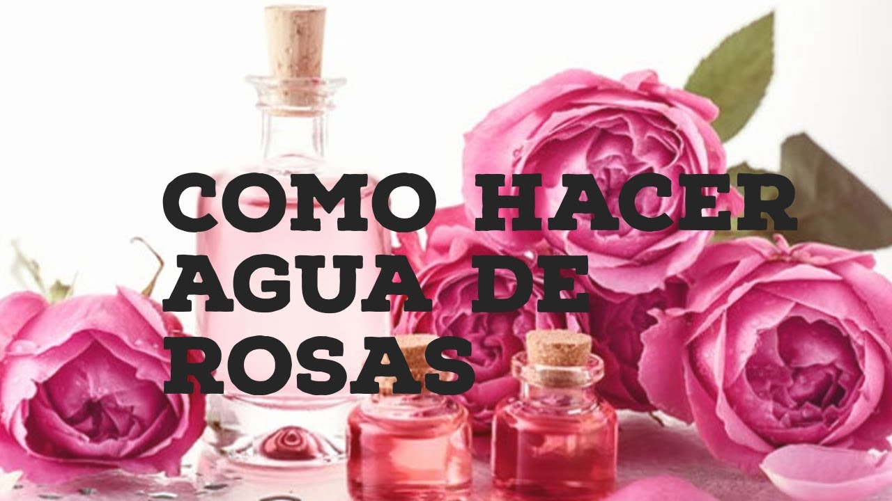 Como hacer agua de rosas con petalos