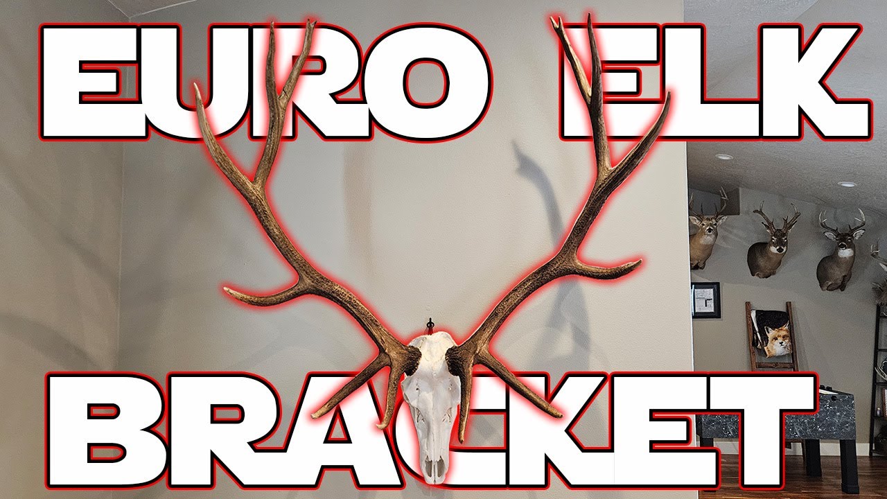European Moint Rack Elk European Mount Bracket