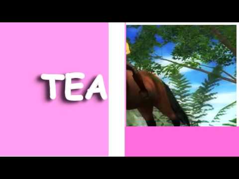CLIP: Alphabet Boy -MY WORLD-