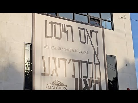 Yossi brach in malchus Judaica 