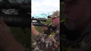 "Instant Hit! Quick Roe Deer Hunt Moment"#HuntShot#QuickShot#CleanKill