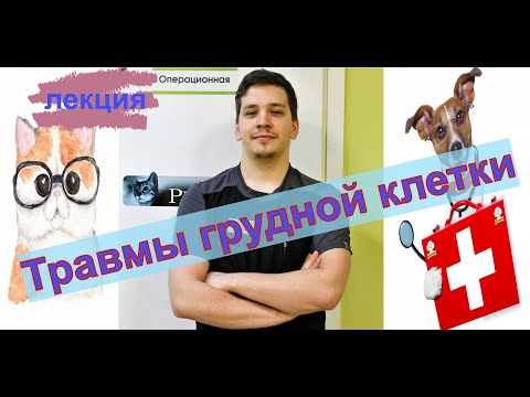 Травмы грудной клетки у собак и кошек. Доклад - Лекция - Вебинар от врача хирурга.