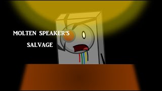 Molten Speakers Salvage