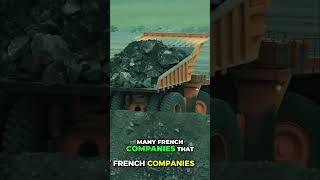 Frances Food Crisis: Africas Economic Impact Revealed #shorts