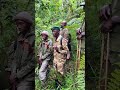 POV. YOU GOT ATTACKED BY A GORILLA WHILE TRACKING IN UGANDA - BWINDI FOREST🙀🙀