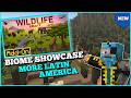 WildLifeCraft Add On Biome Showcase ¦ Latin America 2 ¦ Daz Man Biome Showcase ¦ Minecraft Bedrock