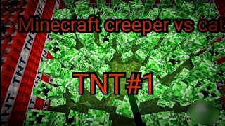 Minecraft creeper vs cat 🐈 TNT