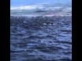 Taylor Swift - Spots a Whale ( yes whale )