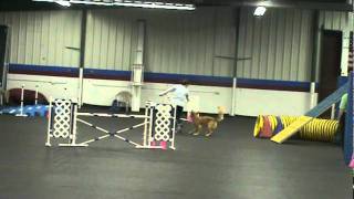 11-27-11 steeple2 ruby