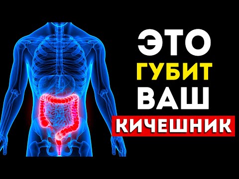 Кишечник: 3 самых вредных и 3 самых полезных продукта