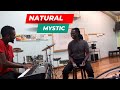 Bob Marley Natural Mystic  Vybing