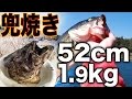 春の川釣りで金星 ランカークラスのバスを釣って食う 兜焼き Largemouth bass fishing. Catch & Eat.