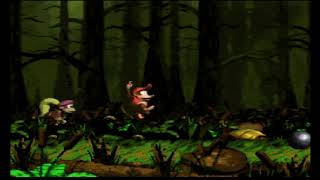 Glitch - Barrel Bayou Softlock - Donkey Kong Country 2 - 102% Speedrun