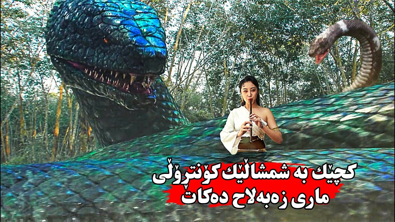 دورگەیەك لەلایەن ماریه زەبەلاحەوە فەرمانڕاوی ئەكرێت بەڵام كچێك بە شمشاڵێك هەموویان كۆنتڕۆڵ ئەكات