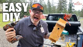 I Built a Birdhouse for $3