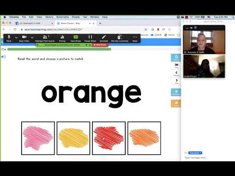 How to Give a User Access to Your Screen (ZOOM)
