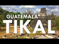 Tikal, la maravilla maya de la humanidad - Guía Guatemala #4