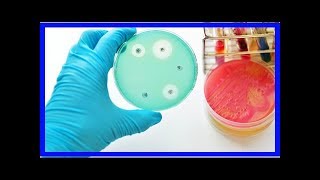 Supererreger Erster Resistenter Tripper Ist Nicht Mehr Mit Antibiotika-Arzneien Zu Heilen