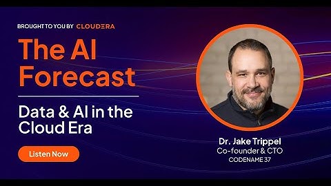 Ep 52 | Why LLMs Aren’t Enough and How AI Fabrics Will Change Everything with Jake Trippel