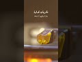 ياما تعبت معاك أهواك إياد رمضان البني كل يوم