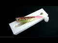 How to make a soft lure trout with a marker