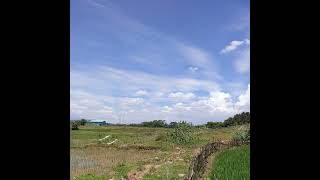 Goyang pinggul