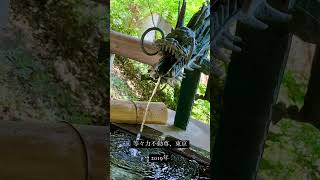 Todoroki Fudoson temple, Tokyo