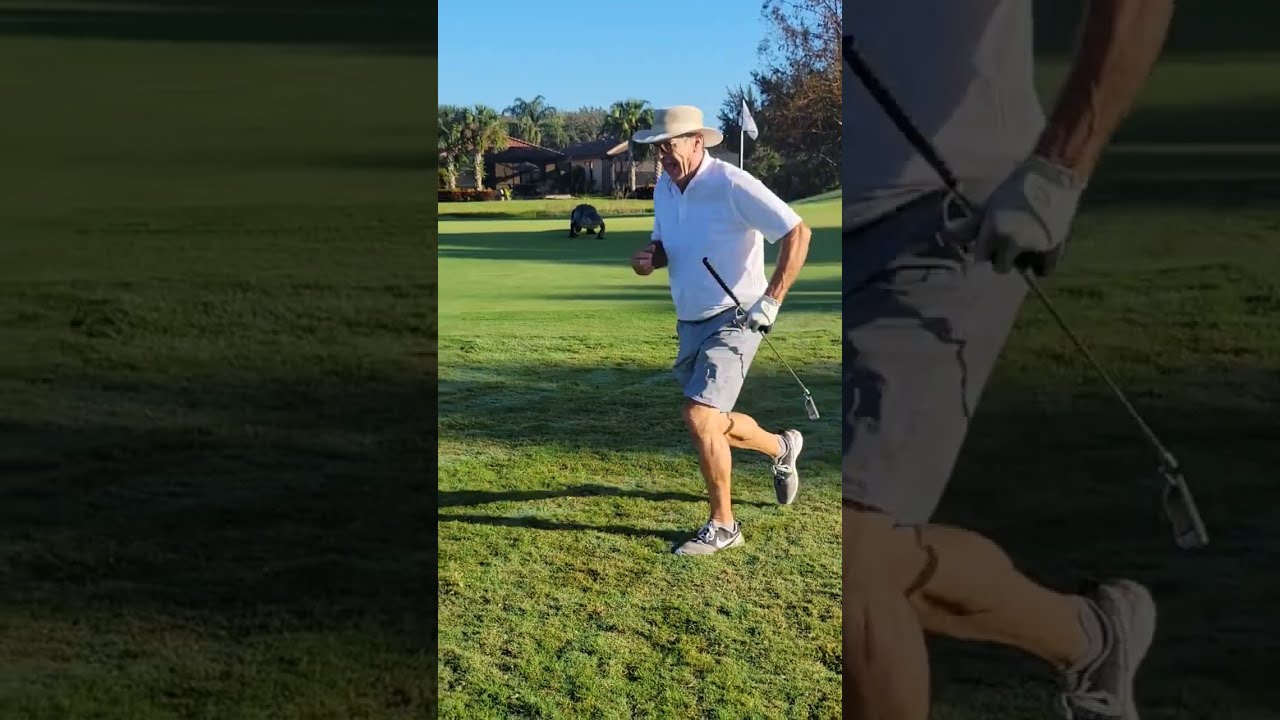 Huge Gator Chases Golfers Off Putting Green