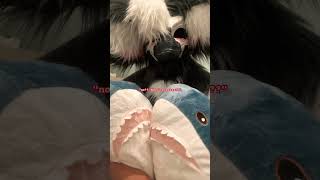 i got 2 big sharks !!!!!! #shark #furry #hyperfixation #dinomask #cosplay #art #relatable #cosplayer