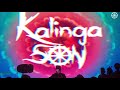 Mygigstar  kalinga son  skydeck vr bangalore  psytrance