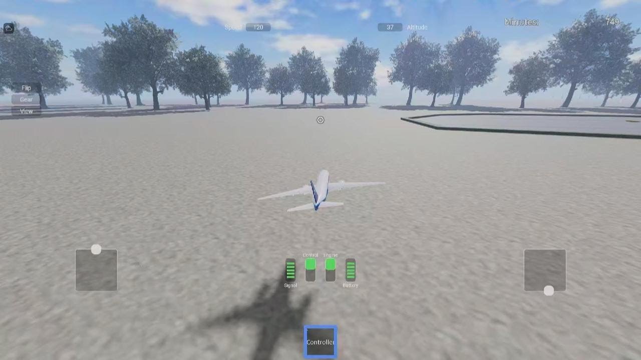 RC Plane flying