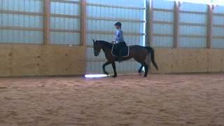 SDV_0326.MP4