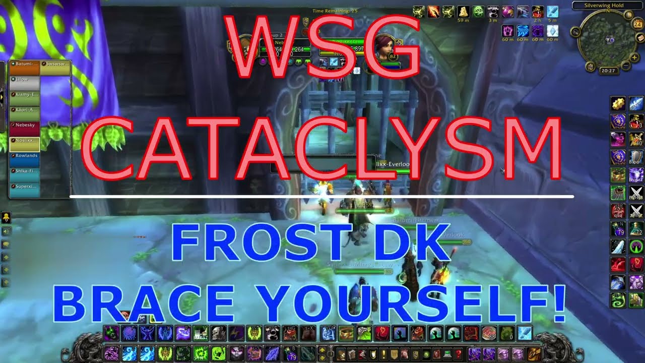 WSG CATACLYSM CLASSIC FROST DK - BRACE YOURSELF! NEBESKY 84 TWINK