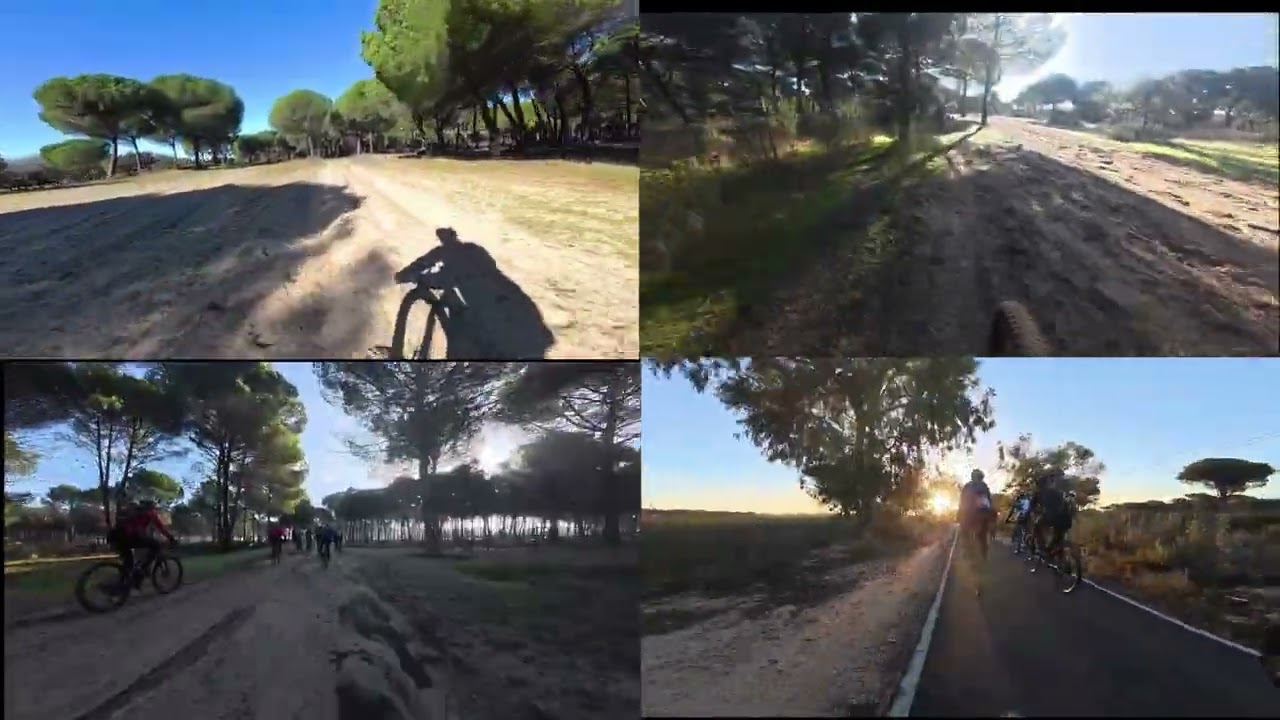 100126 Mazagon Rocio Version Corta