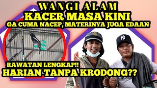 Kacer Masa Kini Kacer Konslet Maksimal Cara Merawat Burung Kacer 