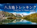 八方池トレッキング/令和元年9月26日/長野県白馬村/八方尾根/白馬三山/北アルプス/秋/紅葉/風景写真/撮影スポット/【写真旅】